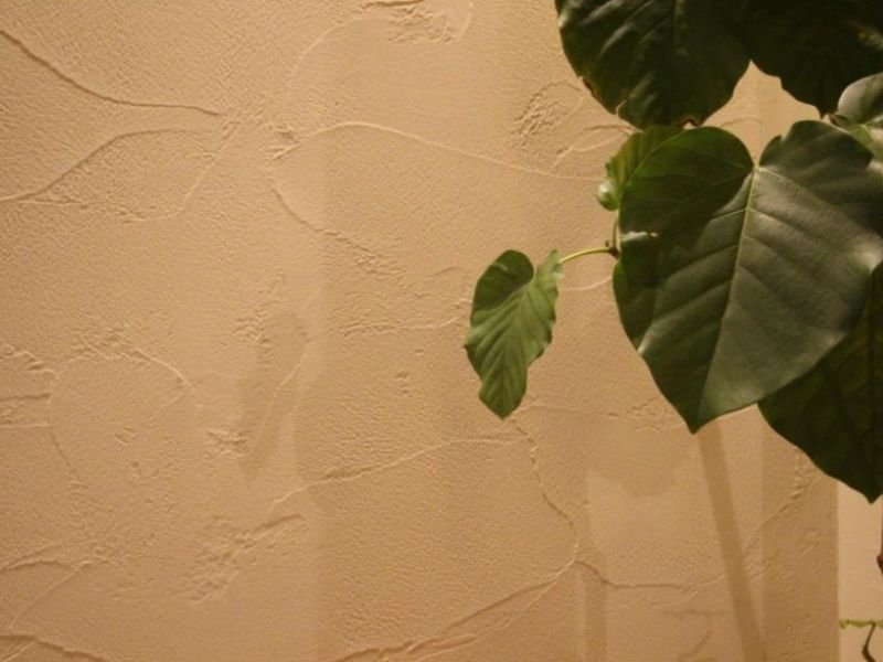 giá thi công tường đất