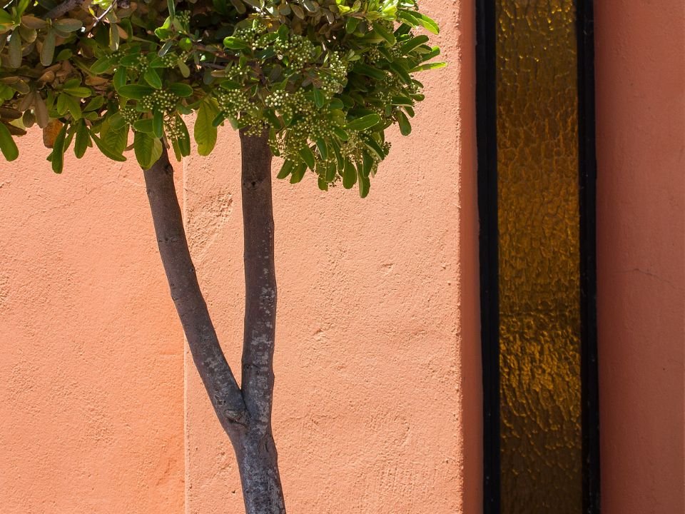 Vữa đất rất an toàn và thân thiện với con người (Ảnh sưu tầm)